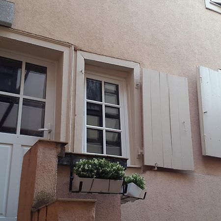 Colmar City Center Little Venise - Gite De Lea - Bagian luar foto